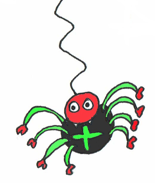 Spinne